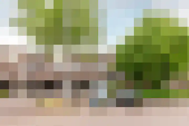 Westrak 61 Harderwijk thumbnail 28