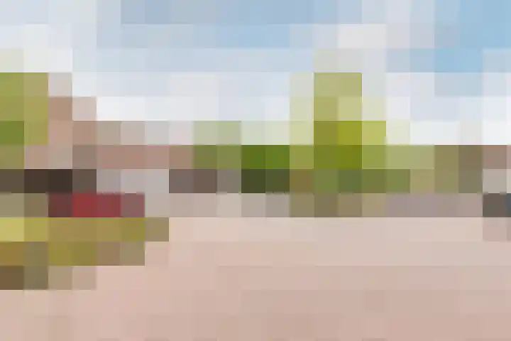 Westrak 61 Harderwijk thumbnail 30