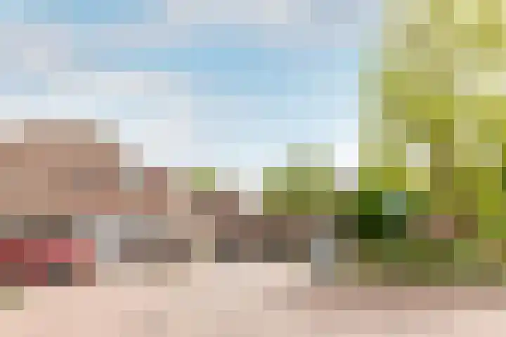 Westrak 61 Harderwijk thumbnail 31