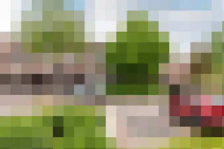 Westrak 61 Harderwijk thumbnail 32