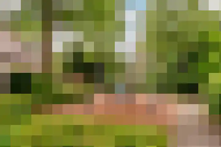 Westrak 61 Harderwijk thumbnail 33