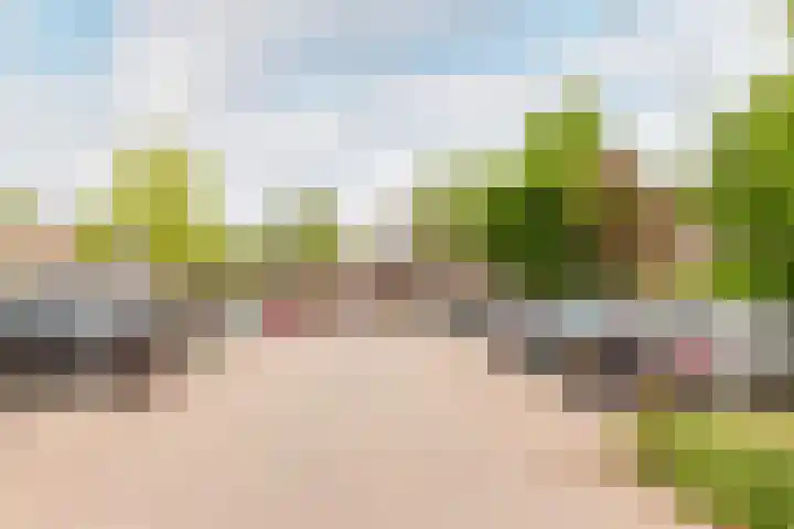 Westrak 61 Harderwijk thumbnail 34