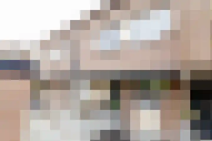 Westrak 61 Harderwijk thumbnail 38