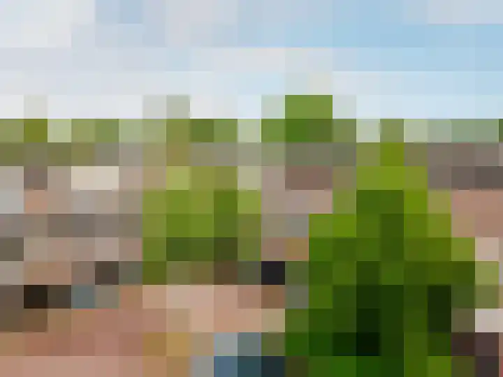 Westrak 61 Harderwijk thumbnail 39