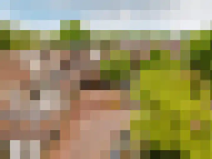 Westrak 61 Harderwijk thumbnail 7