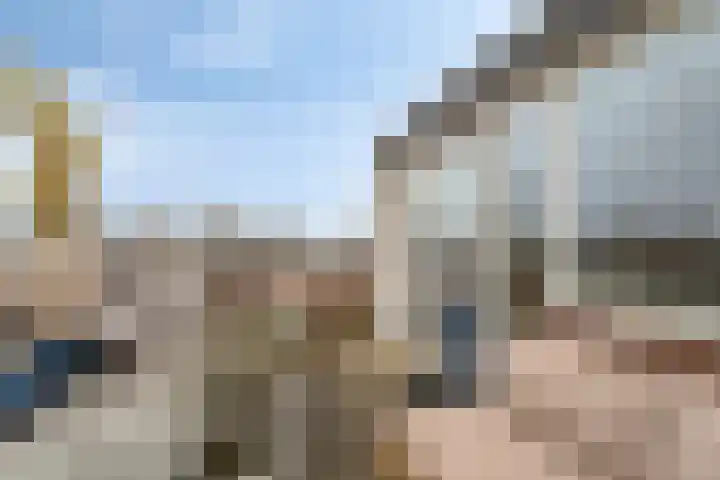 Westrak 64 Harderwijk thumbnail 21