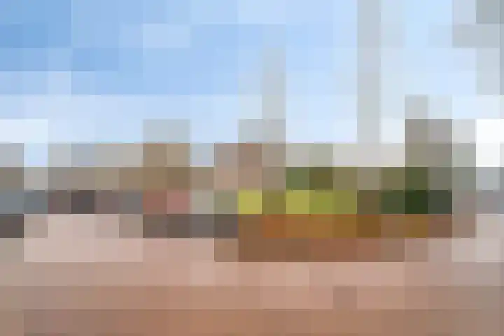 Westrak 64 Harderwijk thumbnail 26