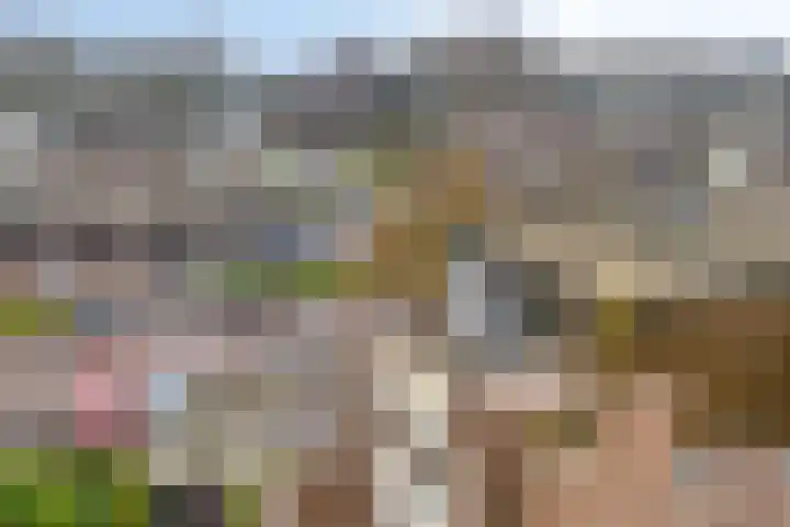 Westrak 64 Harderwijk thumbnail 30