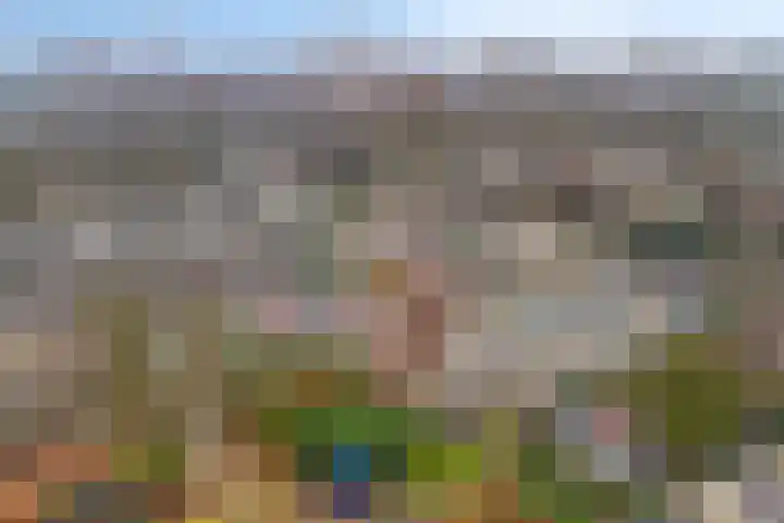 Westrak 64 Harderwijk thumbnail 31
