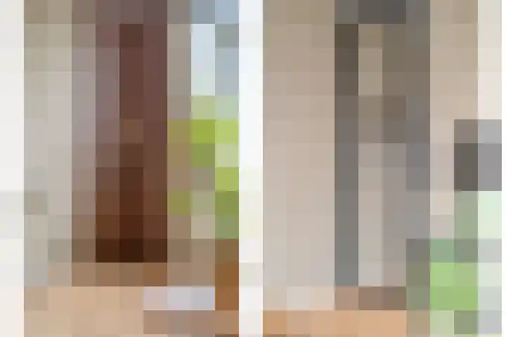 Westrak 64 Harderwijk thumbnail 4
