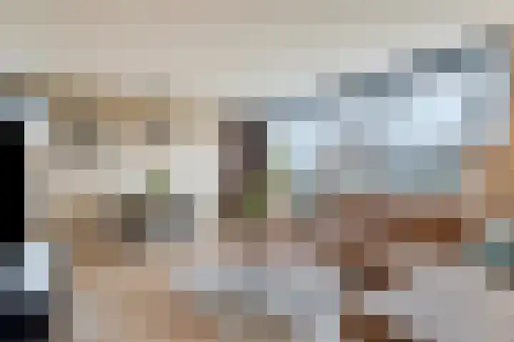 Westrak 64 Harderwijk thumbnail 8