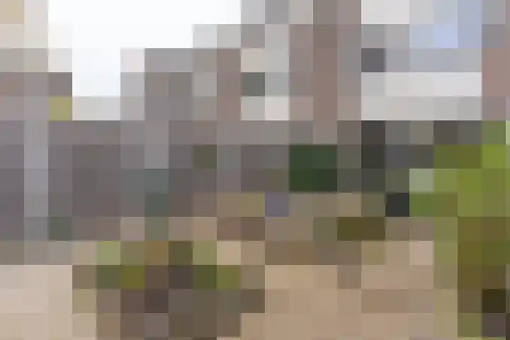 Westrak 79 Harderwijk thumbnail 24