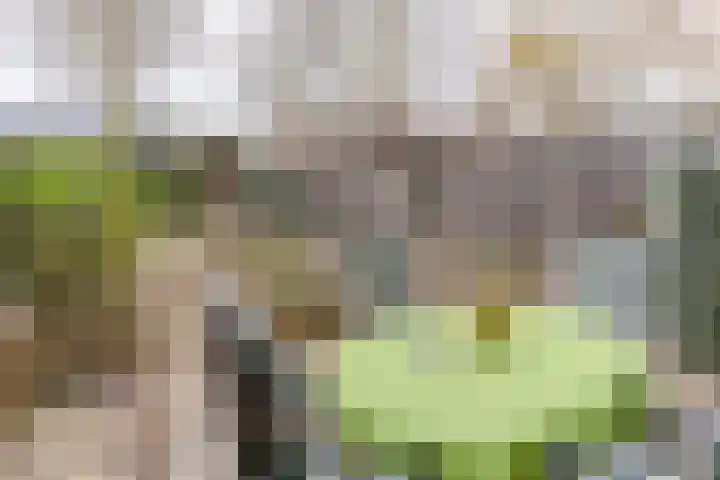 Westrak 79 Harderwijk thumbnail 25