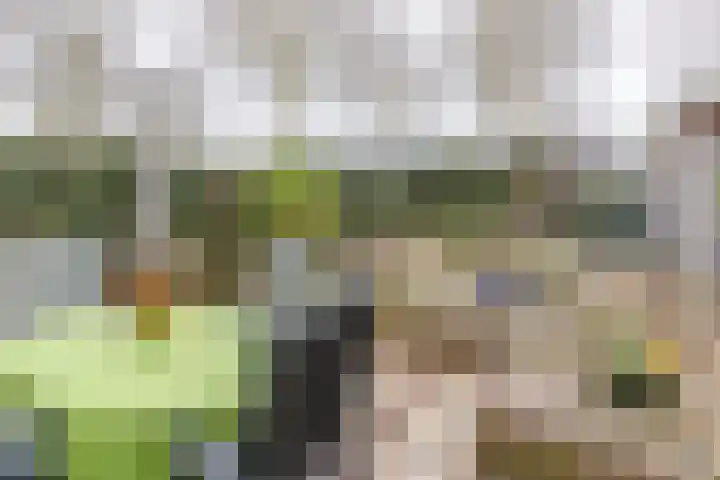 Westrak 79 Harderwijk thumbnail 26