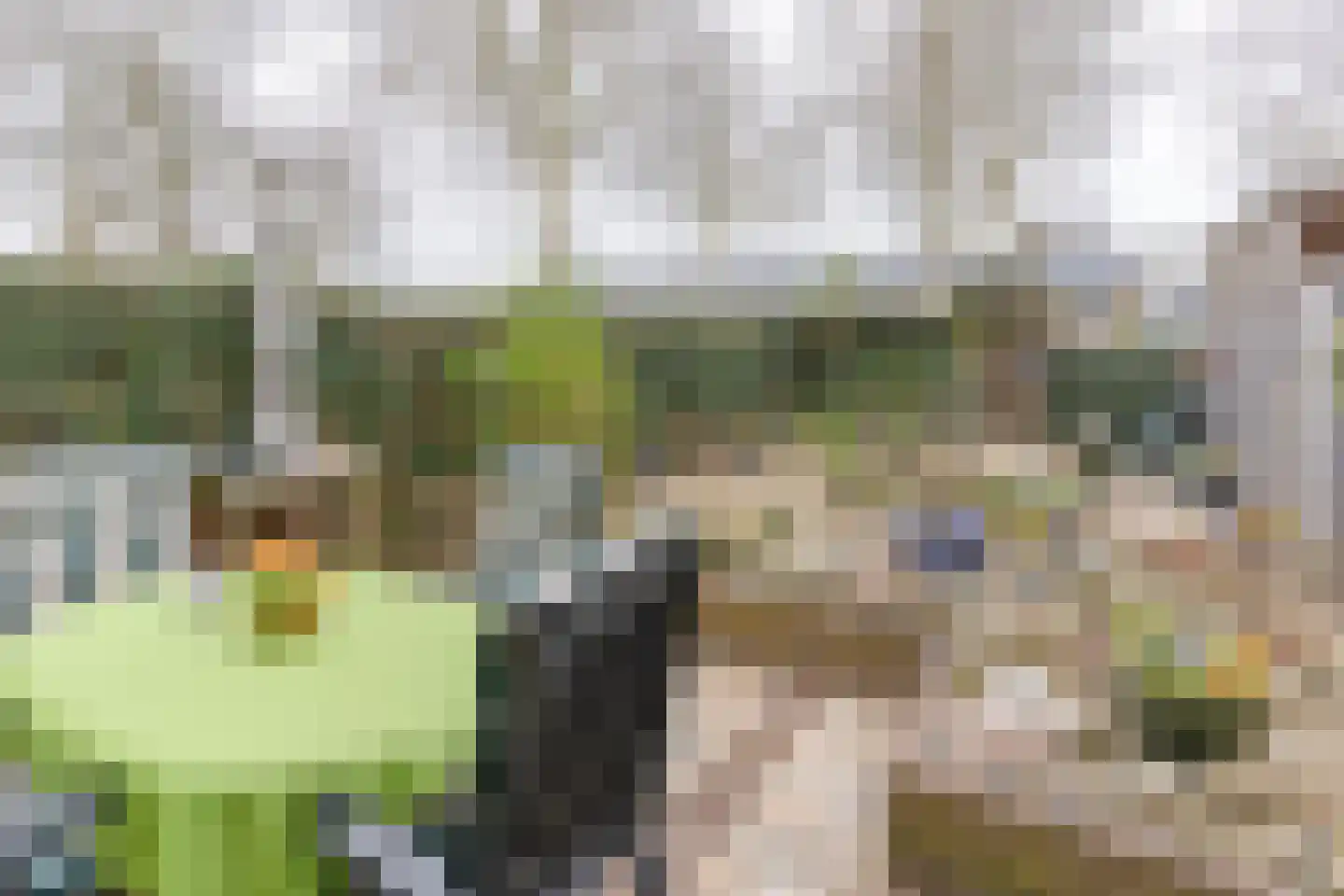 Westrak 79 Harderwijk thumbnail 26