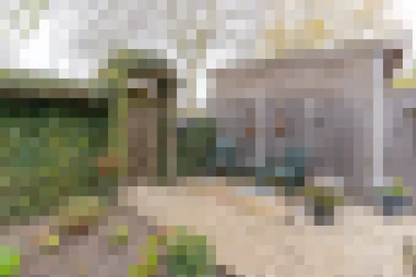 Westrak 79 Harderwijk thumbnail 27