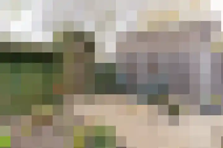 Westrak 79 Harderwijk thumbnail 27