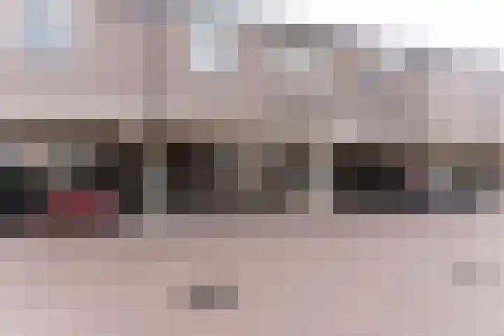 Westrak 79 Harderwijk thumbnail 4