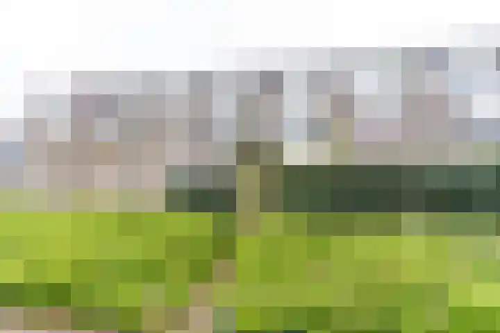 Westrak 79 Harderwijk thumbnail 6