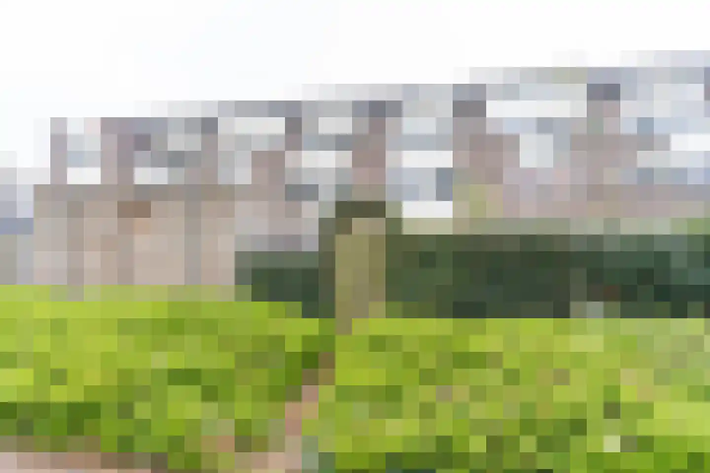 Westrak 79 Harderwijk thumbnail 7