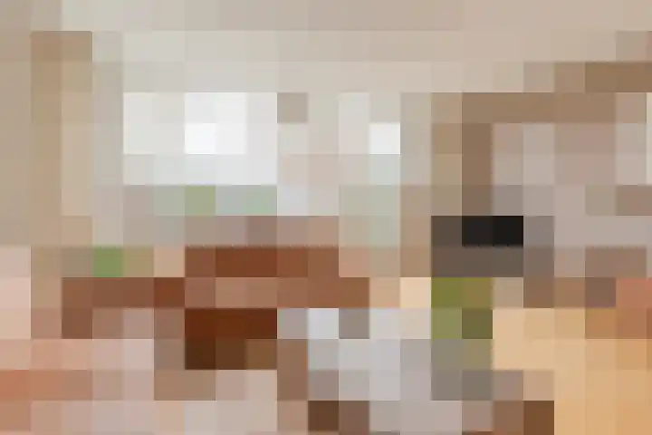 Westrak 79 Harderwijk thumbnail 9