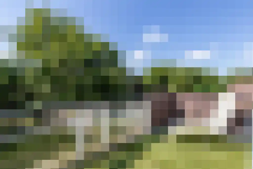 Westrak 85 Harderwijk thumbnail 16