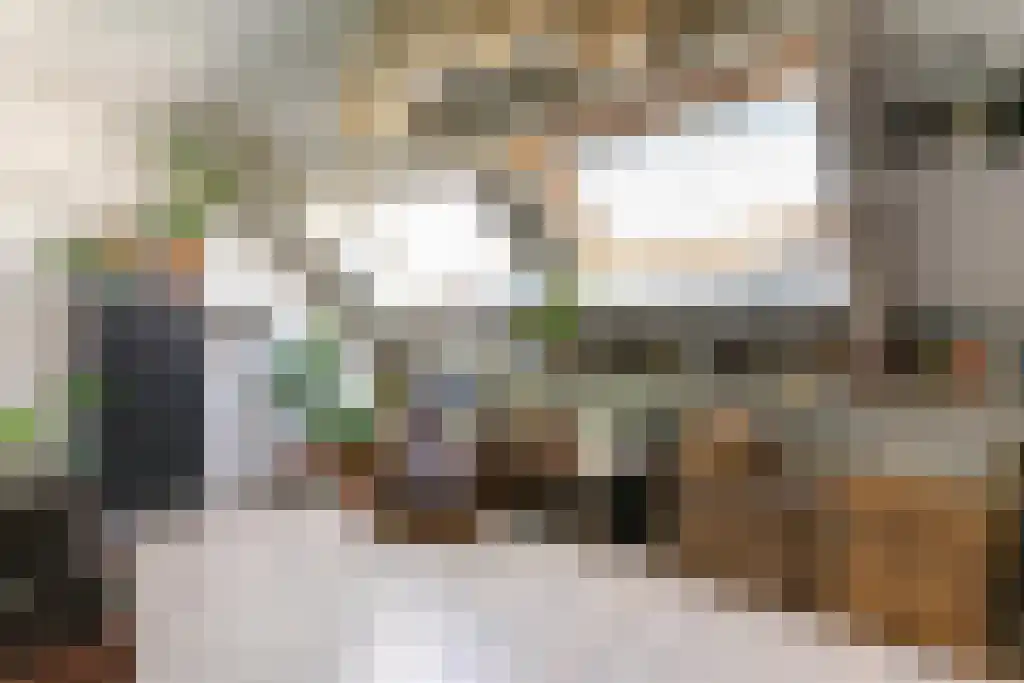 Westrak 85 Harderwijk thumbnail 17