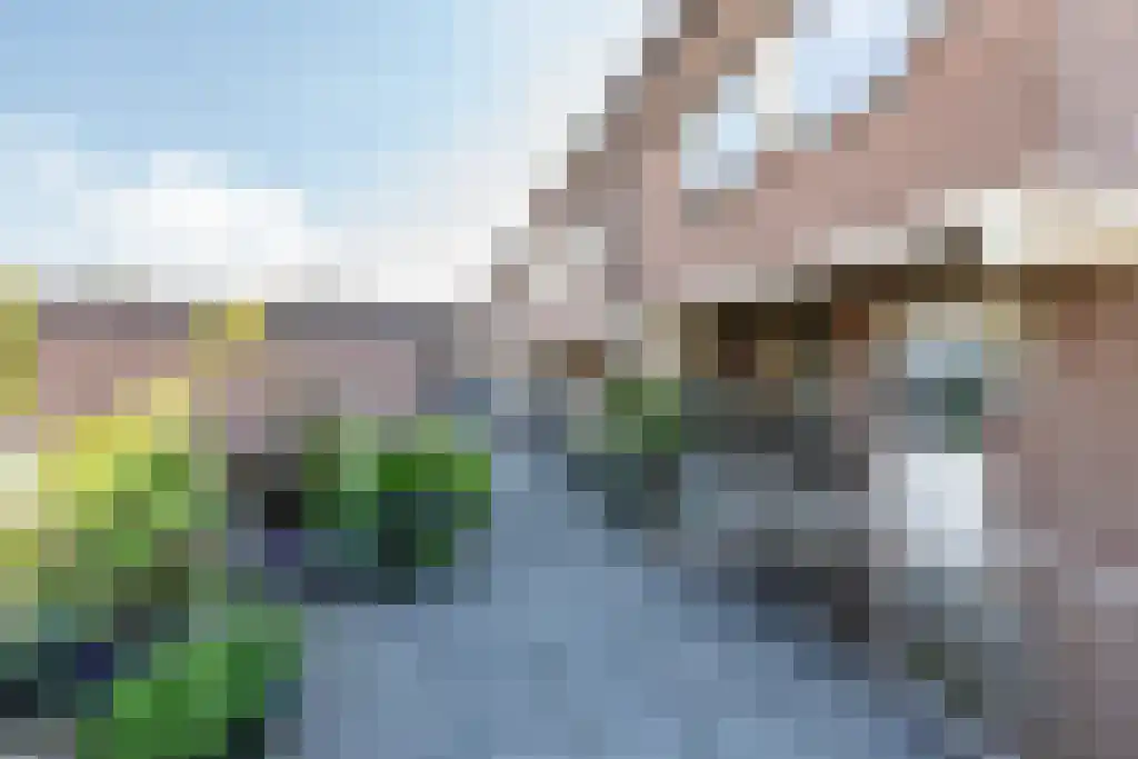 Westrak 85 Harderwijk thumbnail 22