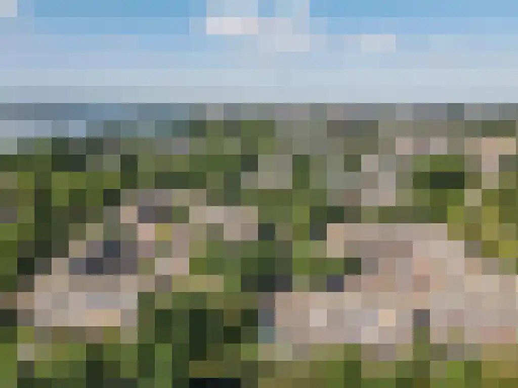 Westrak 85 Harderwijk thumbnail 30