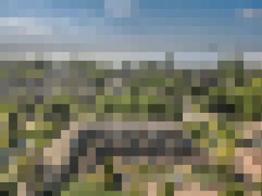 Westrak 85 Harderwijk thumbnail 31