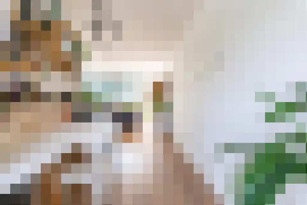 Westrak 85 Harderwijk thumbnail 5