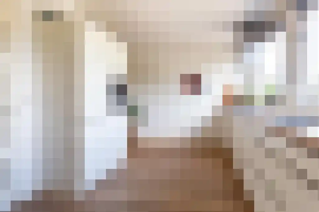 Westrak 85 Harderwijk thumbnail 8