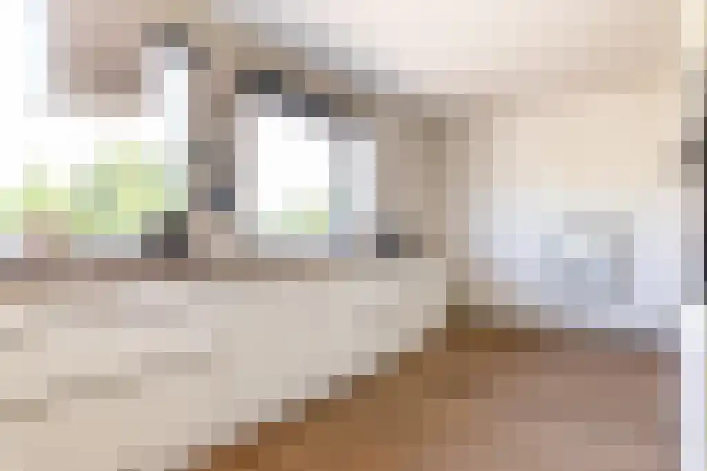 Westrak 85 Harderwijk thumbnail 9
