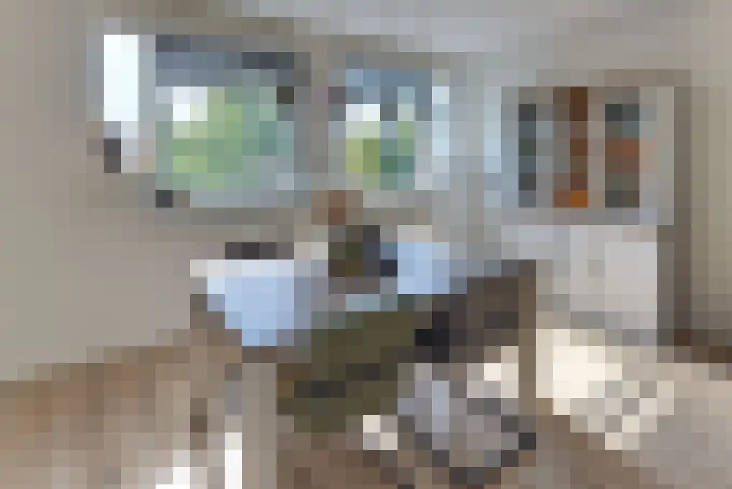 Westrak 86 Harderwijk thumbnail 17