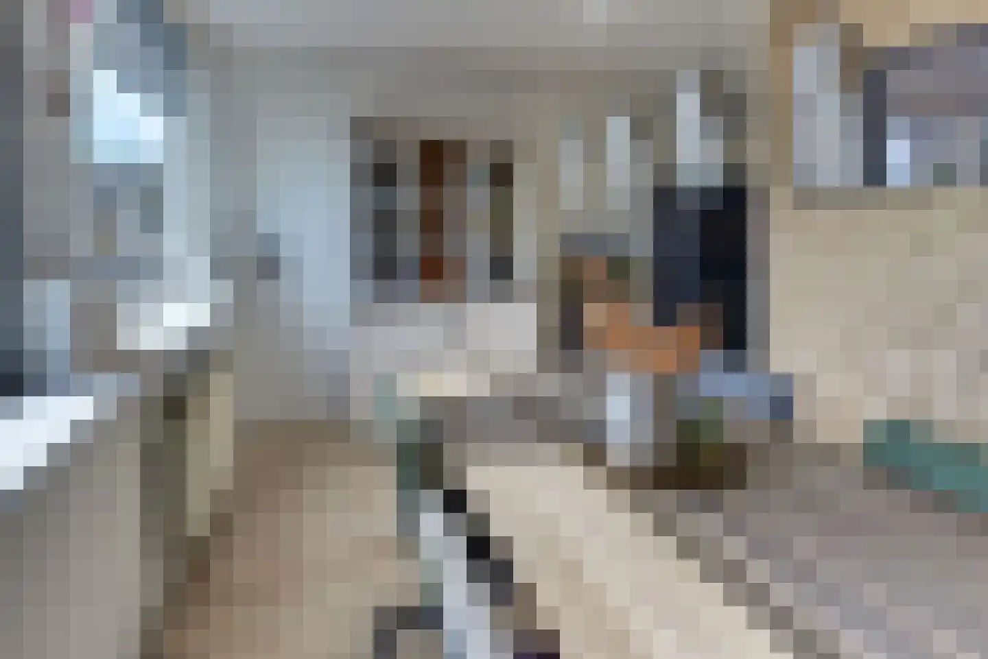 Westrak 86 Harderwijk thumbnail 18
