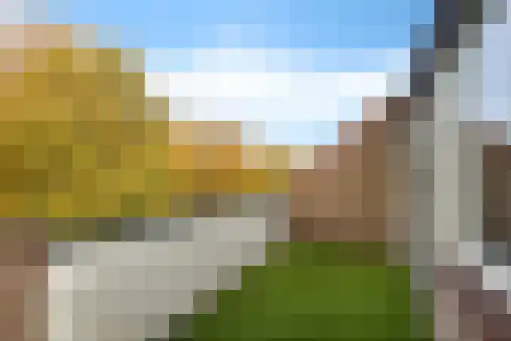 Westrak 94 Harderwijk thumbnail 25