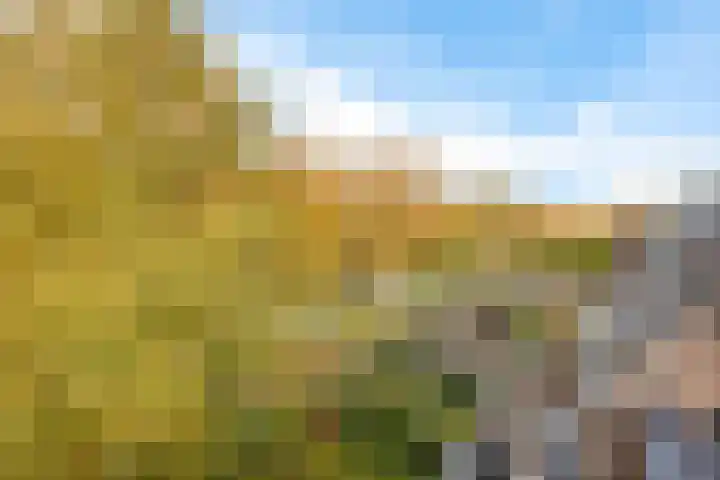 Westrak 94 Harderwijk thumbnail 26