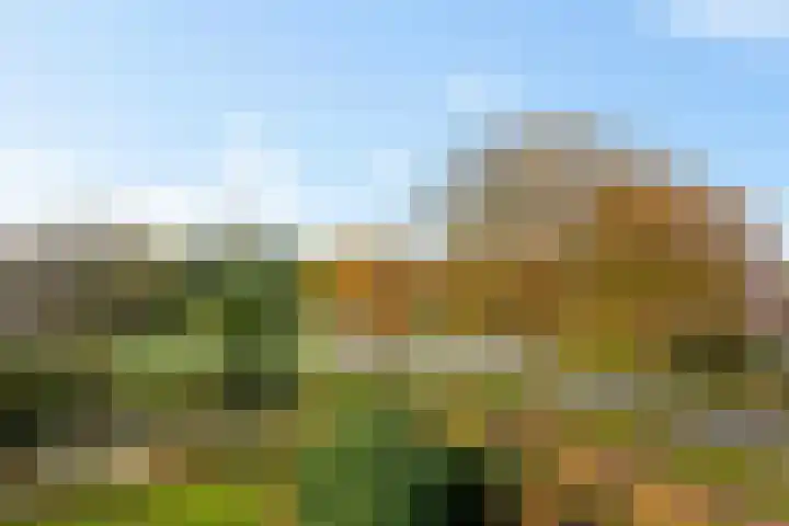 Westrak 94 Harderwijk thumbnail 27