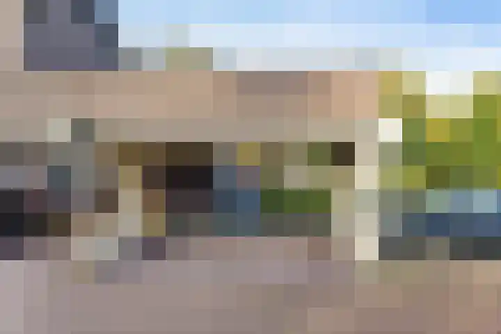 Westrak 94 Harderwijk foto 3