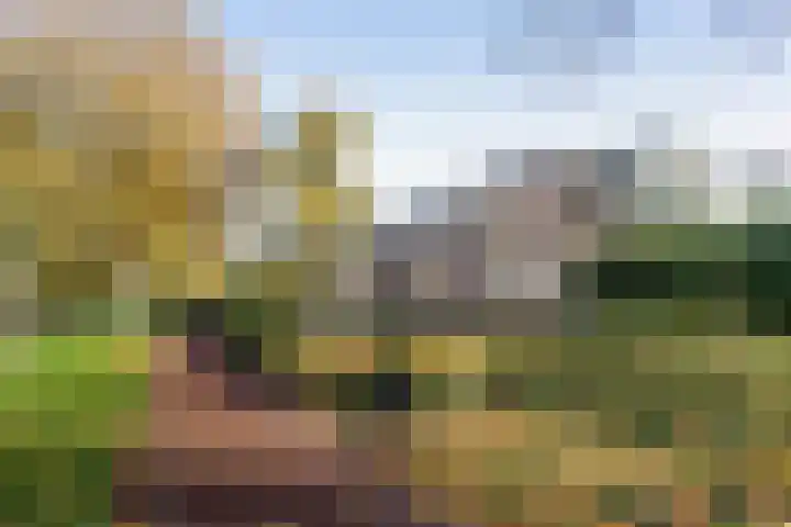 Westrak 94 Harderwijk thumbnail 32