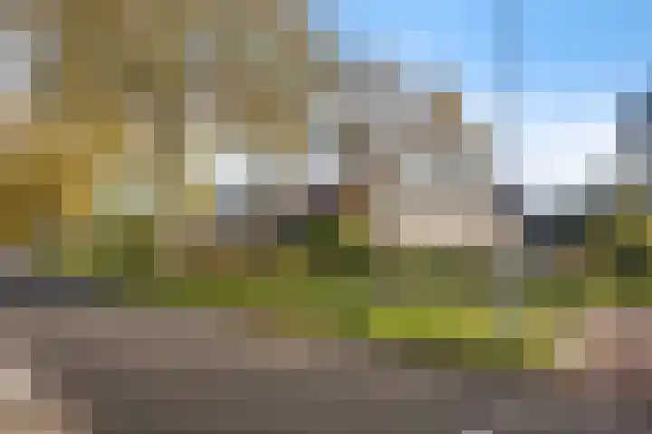 Westrak 94 Harderwijk thumbnail 33