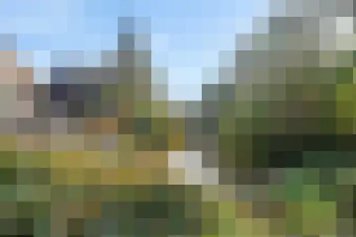 Westrak 94 Harderwijk thumbnail 34