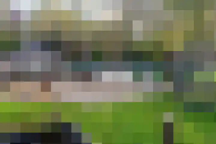 Westrak 94 Harderwijk thumbnail 35