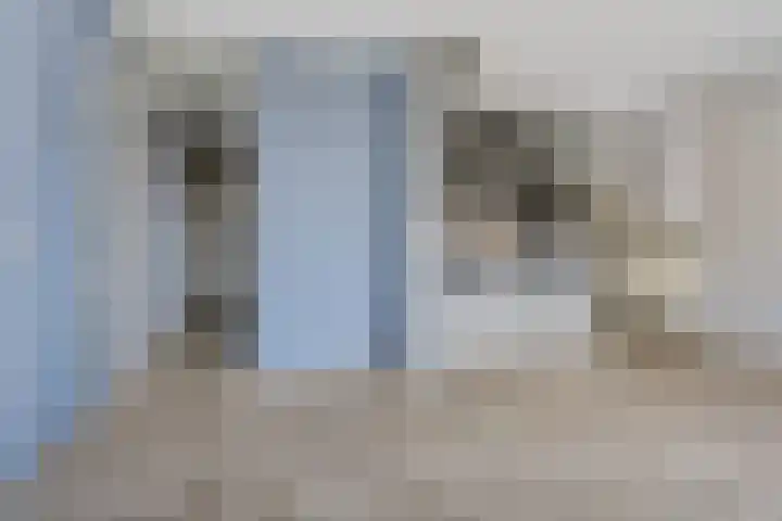 Westrak 94 Harderwijk thumbnail 8