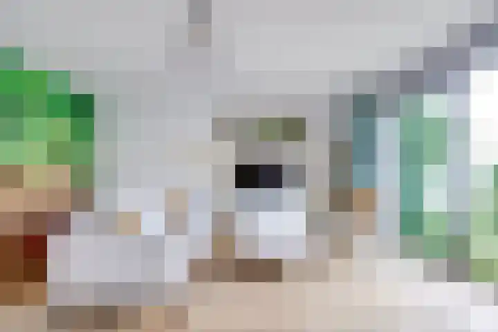 Westraklaan 10 Utrecht thumbnail 12