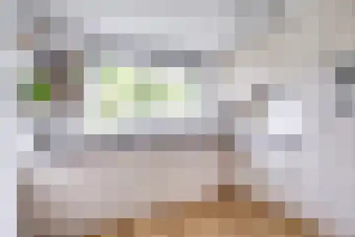 Westraklaan 10 Utrecht thumbnail 15