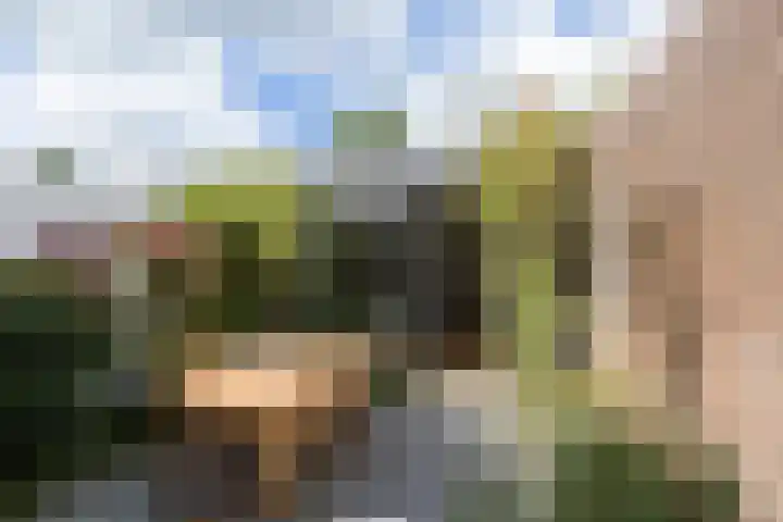 Westraklaan 10 Utrecht thumbnail 21