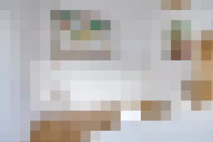Westraklaan 10 Utrecht thumbnail 33
