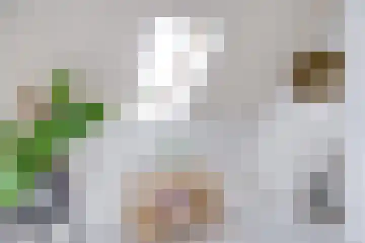 Westraklaan 10 Utrecht thumbnail 37