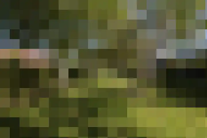 Westraklaan 10 Utrecht thumbnail 42